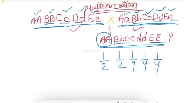 How to solve genetics probability problems // Part 1// Multiplication Rule смотреть онлайн