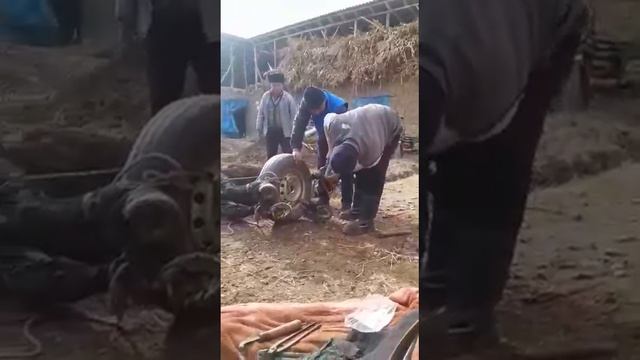 АЙЫЛДАГЫ ЖАНЫ ФОРМАТТАГЫ АТ ТАКАЛОО. смотреть онлайн