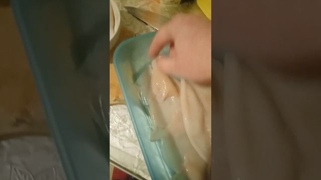 Эксперимент с кальмарами: почему один зеленый? Есть знатоки? 🦑🦑🦑 смотреть онлайн