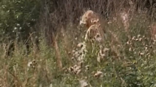 Все прошло... смотреть онлайн