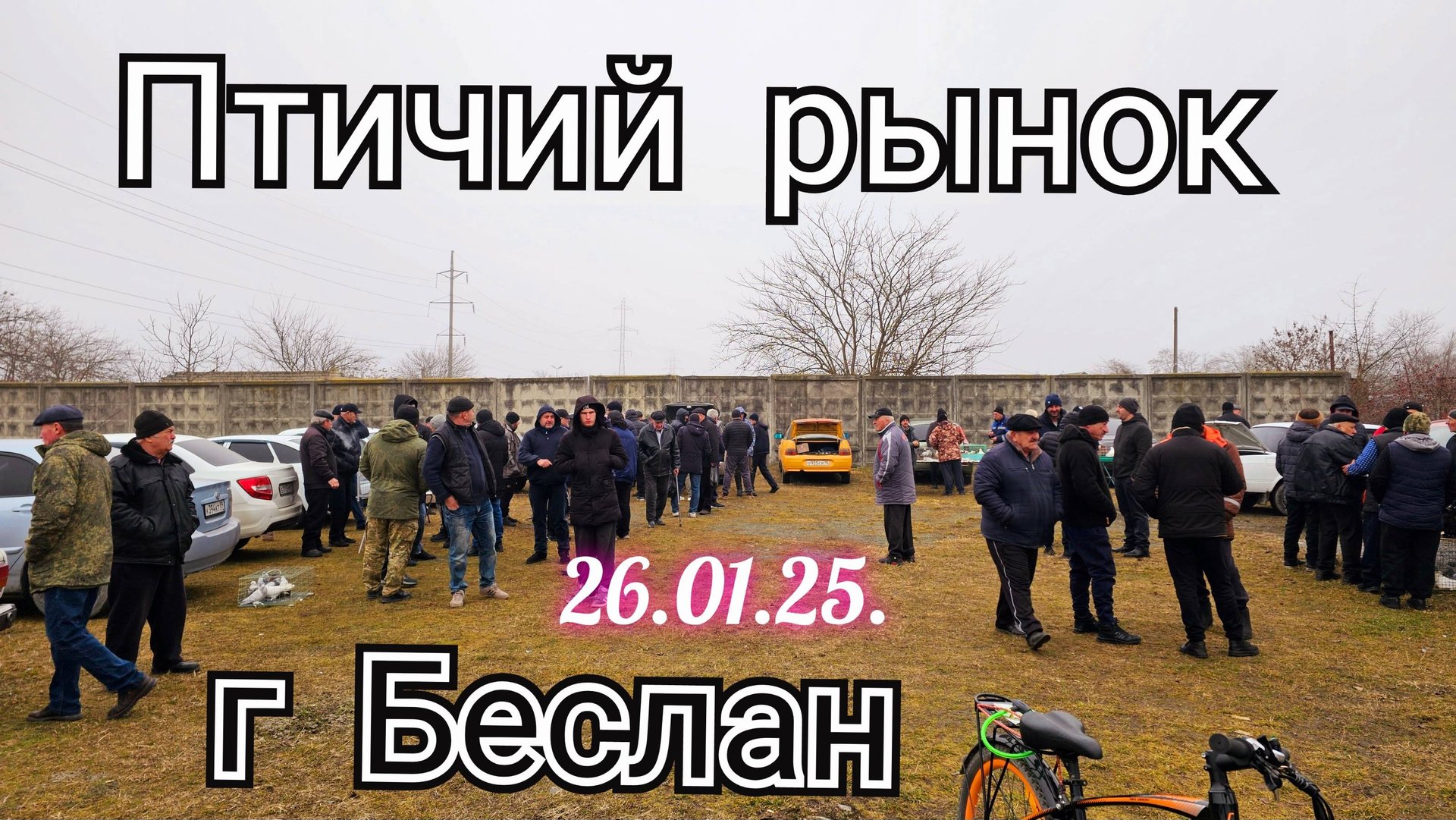 Голуби цены Птичий рынок г Беслан смотреть онлайн