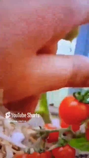 семена томатов смотреть онлайн