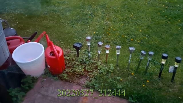 Night by night Cheap Solar Stake Lights comparison смотреть онлайн