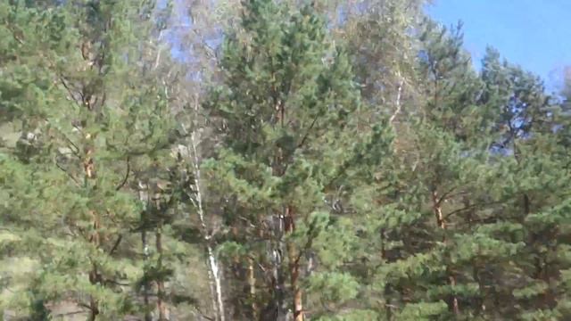 MOV 0240 смотреть онлайн