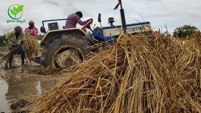 John Deere Tractor Stuck In Mud Get Helps Swaraj Tractor with Cage Wheels смотреть онлайн