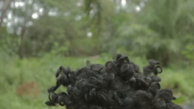 MARKONAH NEMU UANG - Akhirnya Markonah KAYA ? смотреть онлайн