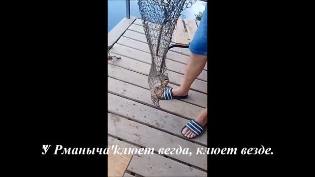 Карп помост смотреть онлайн