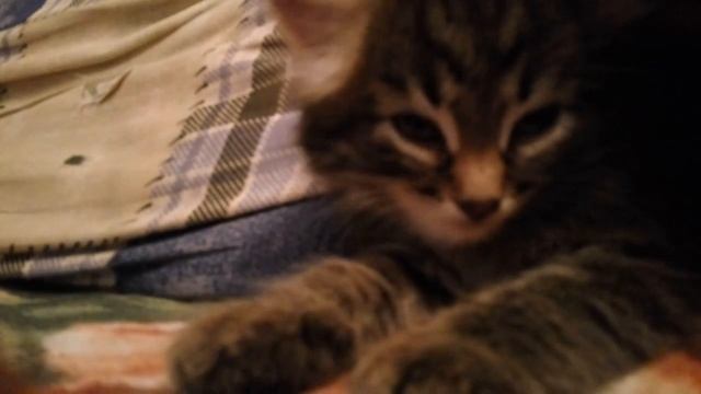 VID 2016 10 23 211438