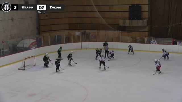 «Валео» - «Тигры». Прямая трансляция смотреть онлайн