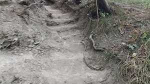 Кемпинг "Свежий воздух" Обзор кемпинга 2024 год АРХИПО-ОСИПОВКА ЧЕРНОЕ МОРЕ