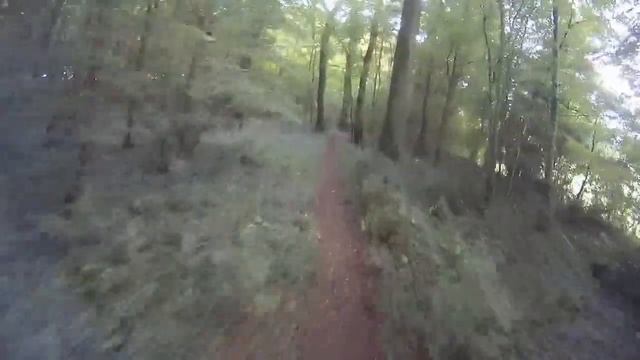 Pit Bike 125 Et 150 Ycf Classic Pilot