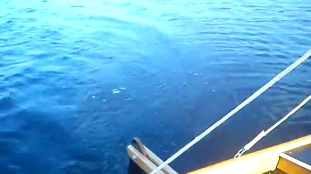 Швертбот Ворьен на Днепре смотреть онлайн