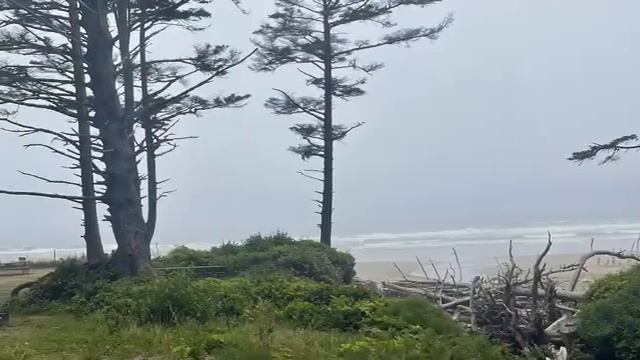 Old Gal NEVER 2022 Summer смотреть онлайн