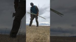 Устанавливаю электропастух для овец