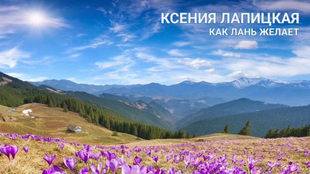 Ксения Лапицкая. Как лань желает | Христианские песни смотреть онлайн