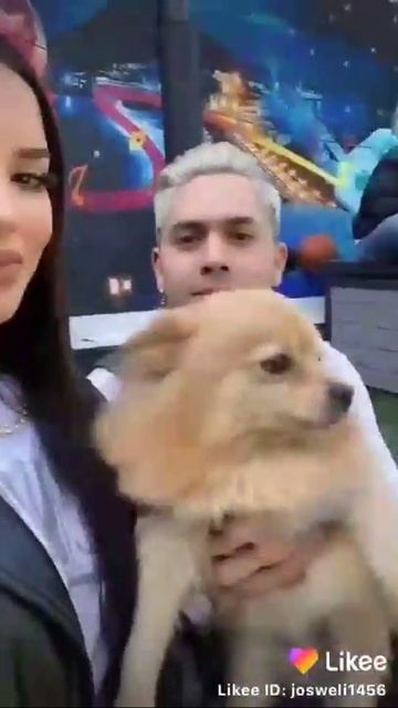 Jaja😂 hermoso perrito de Kim si eres fan de Kimberly Loaiza dale like (Juega con Estefania) смотреть онлайн