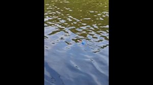 Рыбалка на Селигере