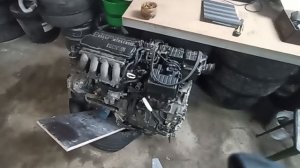 Угловая аккумуляторная трещетка  WOSAI