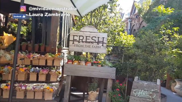 Grounds of Alexandria | Mejor Café, Jardín Rústico AUSTRALIANO en Sydney смотреть онлайн