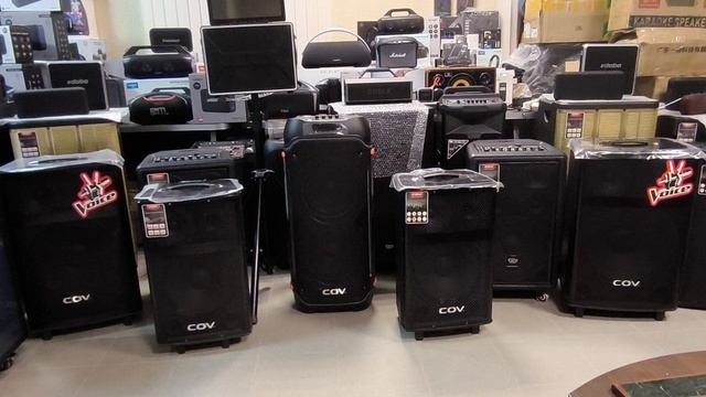 COV 15X  STEREO TWS 2x120W