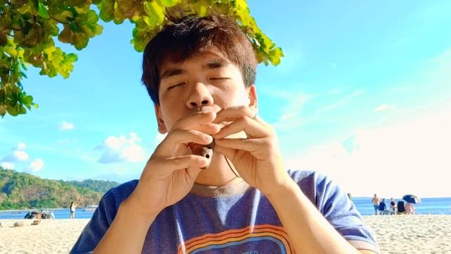 Double Harmony Ocarina and The Ocean смотреть онлайн