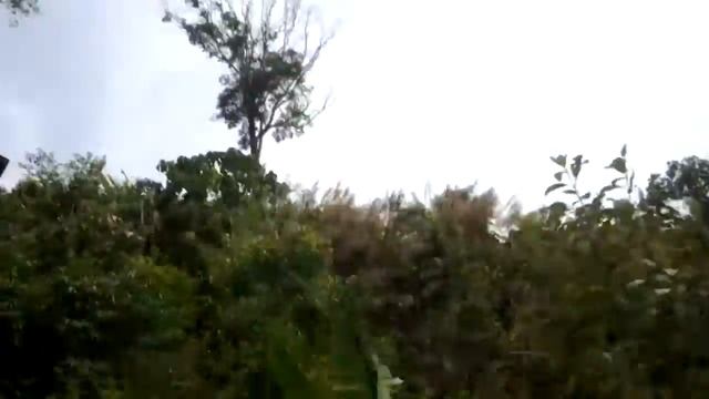 Тайланд Пхукет.серпантин с будды. 2012 2012 05 06 286 смотреть онлайн