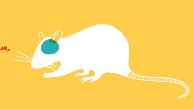 What Happens Inside A Dying Mind?