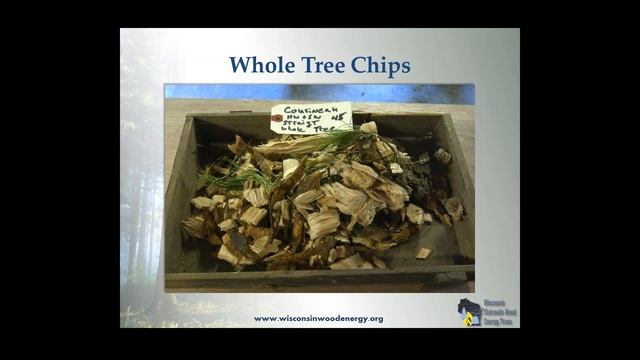 2015 03 18 13 02 Refueling Wisconsin with Wood Energy Overview of Large Scale Wood Heating Pow смотреть онлайн