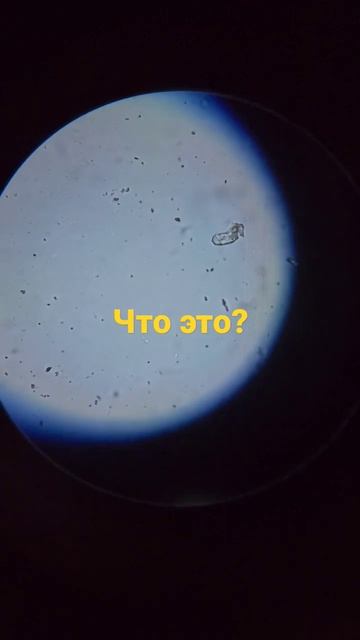 Микромир в капле не совсем чистой воды смотреть онлайн