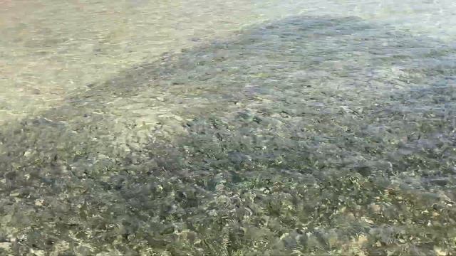 Косяк рыб на пляже Андалуза смотреть онлайн