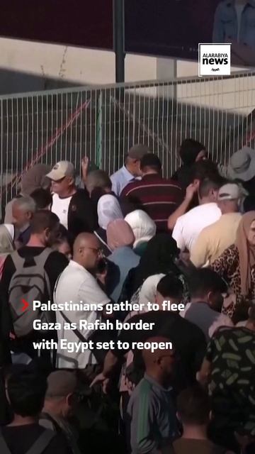 Gazans gather to flee at Rafah border смотреть онлайн