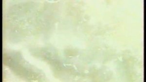 Новости (Первый канал, 21.05.2008)