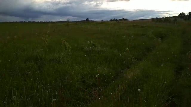 Дождь надвигается. смотреть онлайн