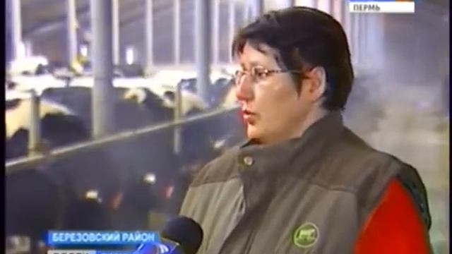 Доильные роботы Lely на ферме Нива, Пермский край