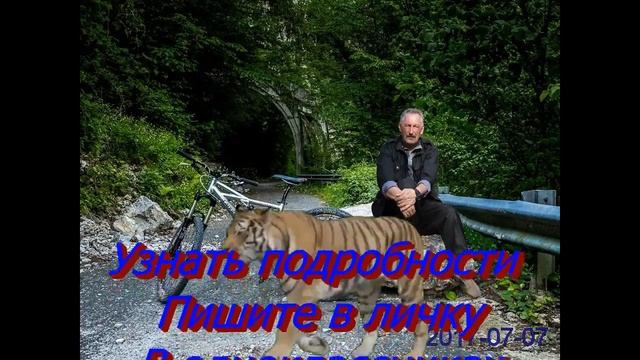 Видео, фото эффект смотреть онлайн