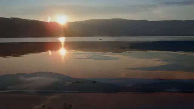 Birds of Paradise: Flying Home смотреть онлайн