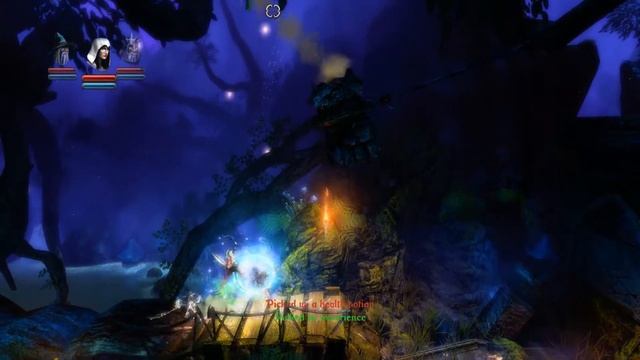 Trine 1 - Walkthrough || Level 10: Shadowthorn Thicket [No Commentary | PC]