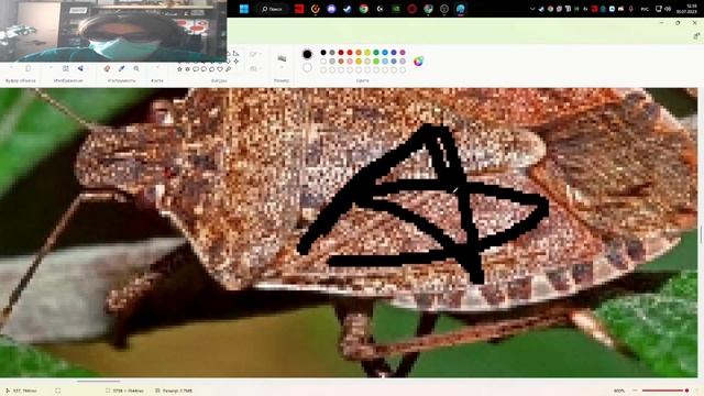 разгадана главная тайна египетских пирамид!!! это-≳≴≵≶≷≸≹ ≻≼≽≾≿⊀⊁⊂⊃⊄⊅⊆⊇