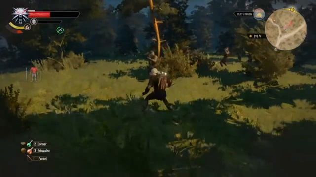 Lets Play The Witcher 3 #30 WTF Gabrielle!? смотреть онлайн