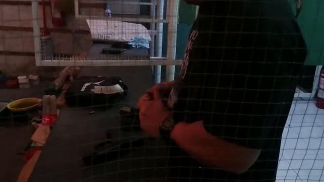 Firing Tara Tm9 Ricky Roid смотреть онлайн