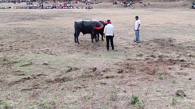 Pravin Bhaiya Chaudhri yancha Jaykal vs Raja Udhav mohite TANU Tufani takkar Tuljapur maidan part 2 смотреть онлайн
