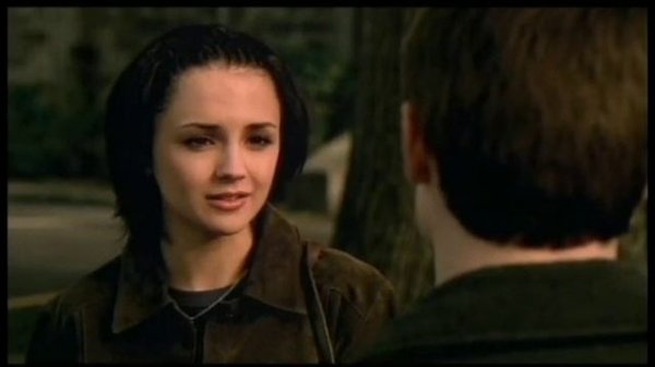 The Bumblebee Flies Anyway