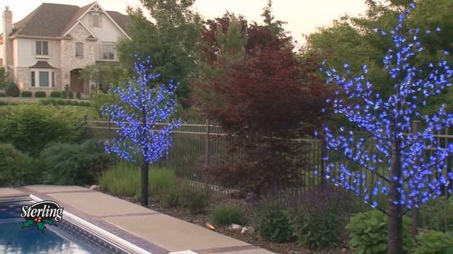 Lights In Bloom LED Blossom Tree by Sterling смотреть онлайн