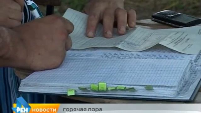 08.07.15 - КТВ - Новости смотреть онлайн
