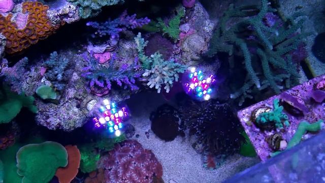 4x2x2 Flower Tank - top down 14.12.14 смотреть онлайн