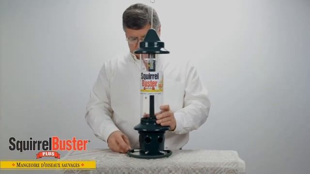 Squirrel Buster Plus - Cerceau Cardinal.mp4 смотреть онлайн