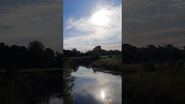 ДОХОД НА СОКЕ С 1 ГЕКТАРА смотреть онлайн