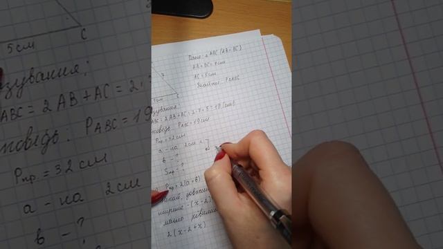 5 клас. Розв'язування задач геометричного змісту. Площа та периметр прямокутника смотреть онлайн