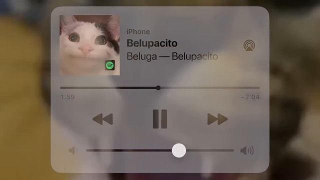 Beluga-Belupacito (official Video)
