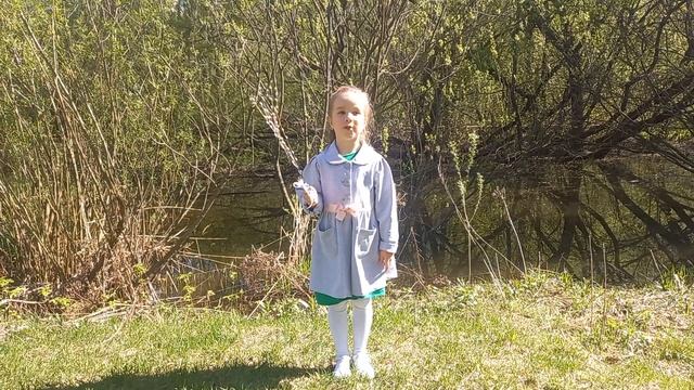 Вероника Толстых, Константин Дмитриевич Бальмонт "Вербы" смотреть онлайн